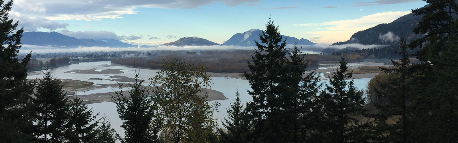 View through conifers from a hill down onto a river with low cloud