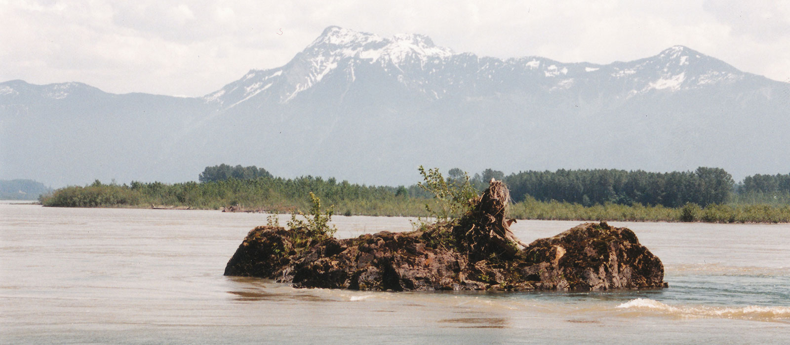 Un rocher avec de petits arbres émerge d’une eau brune et trouble. À l’arrière-plan, il y a des arbres et au loin de grosses montagnes aux sommets enneigés.