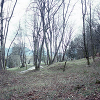 A view of a forested forested riverside terrace.  